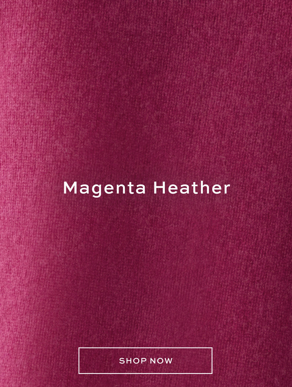 Searchspring In Grid Image Link Storage - DO NOT DELETE