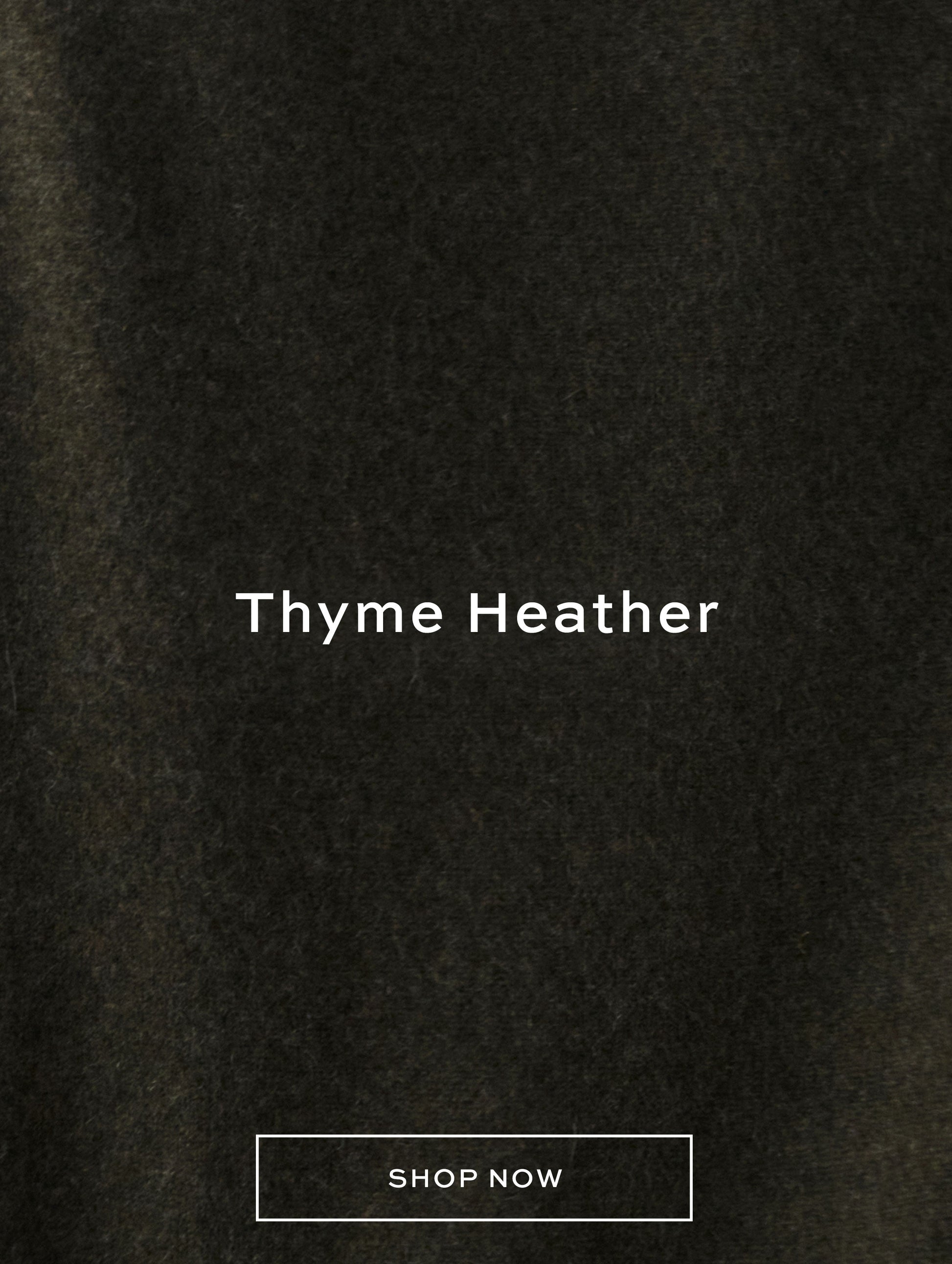 Searchspring In Grid Image Link Storage - DO NOT DELETE